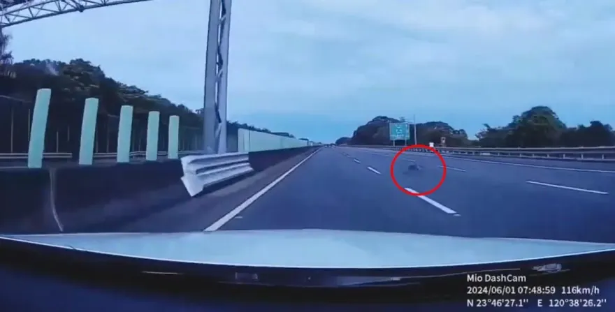 影/國3斗六段「猴子」出沒！快速橫越車道　驚險瞬間曝