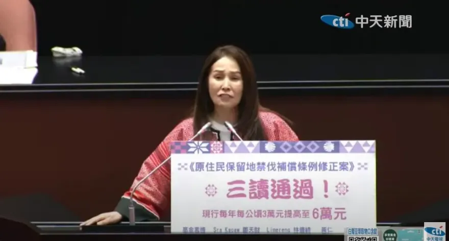 政院不提覆議改用「3+3」方案應對　高金素梅：「禁伐補償」豈能附加條件