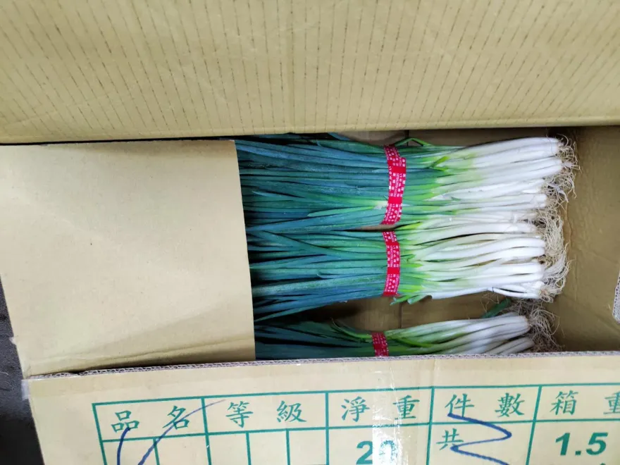快訊/「非常泰」天母SOGO店青蔥驗出殺蟲劑、「祥和蔬食」九層塔農藥超標！