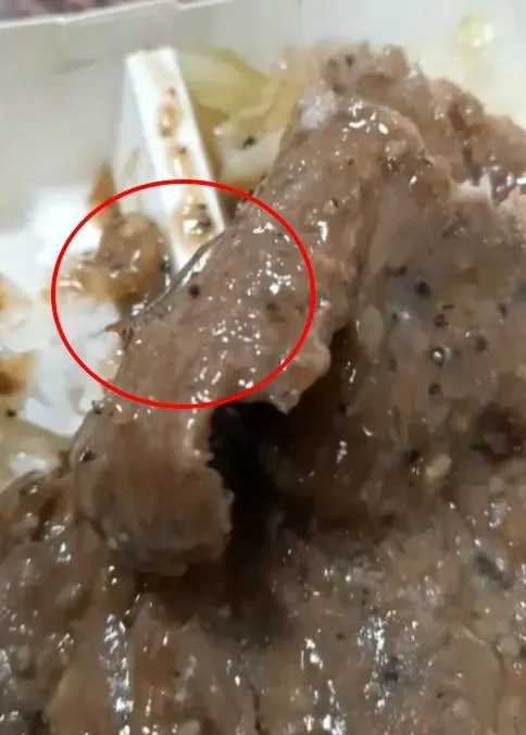 影/排骨便當驚見「蜈蚣亂竄」！高雄衛生局揪多項缺失
