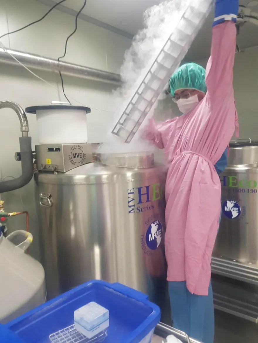 全台細胞治療15%在長庚！已收案逾200例　研究團隊目前更進一步研究「癌症疫苗」