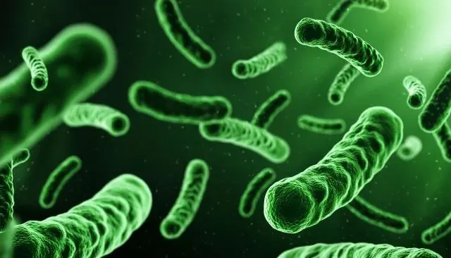 男「食腦蟲」奪命死因大逆轉！高市衛生局澄清：切片結果「阿米巴性痢疾」