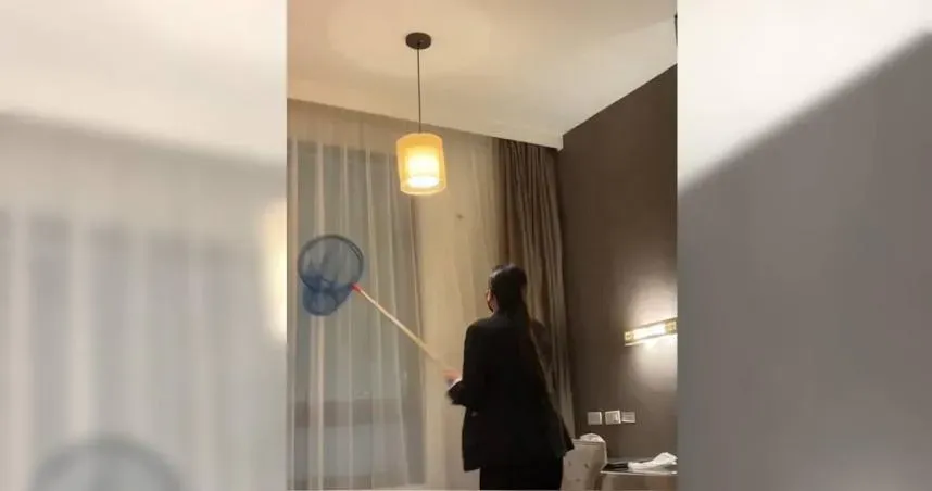 住三星級飯店驚見天牛般大蟑螂！奧客凹「全額退款」　　網傻眼：從無塵室出來？