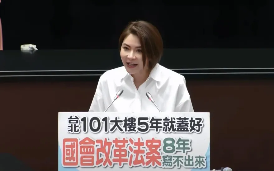 LINE 「Chat DPP」實測　陳菁徽問國會改革大讚：誠實豆沙包