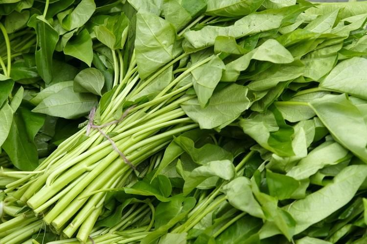 颱風後菜價終於回穩！菜販廖炯程：空心菜有望回到1把30