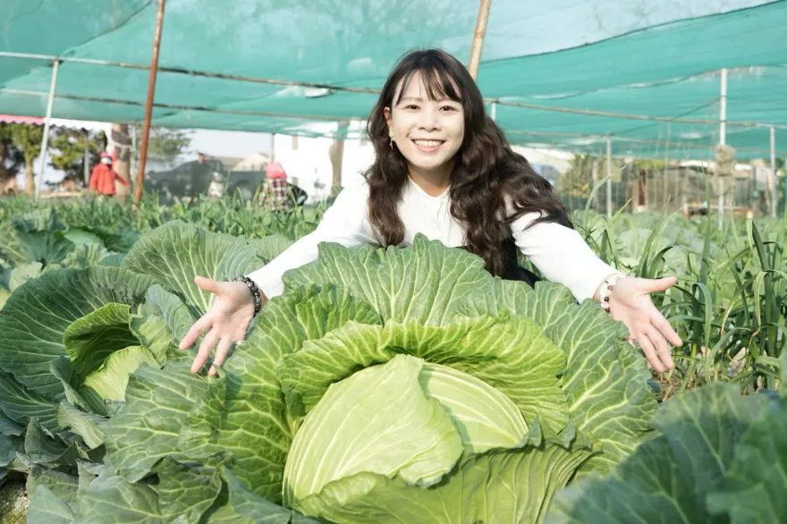 雲林縣新聞處長卓宜姿將離職　本人證實健康亮紅燈