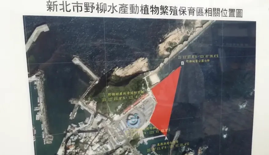 影/野柳驚傳漁民「非法電魚」　海巡進、出港發動檢查模式