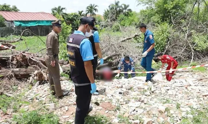 亡靈助尋獲遺體？夫妻夢見詭異大蛇　上山砍柴驚見「腐爛男屍」
