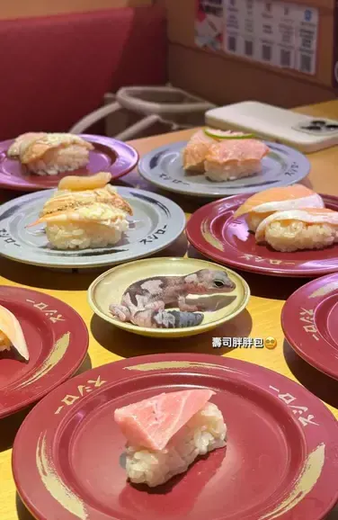 女大生帶寵物「守宮」放醬油碟！壽司郎擬提告　元智大學發3點聲明