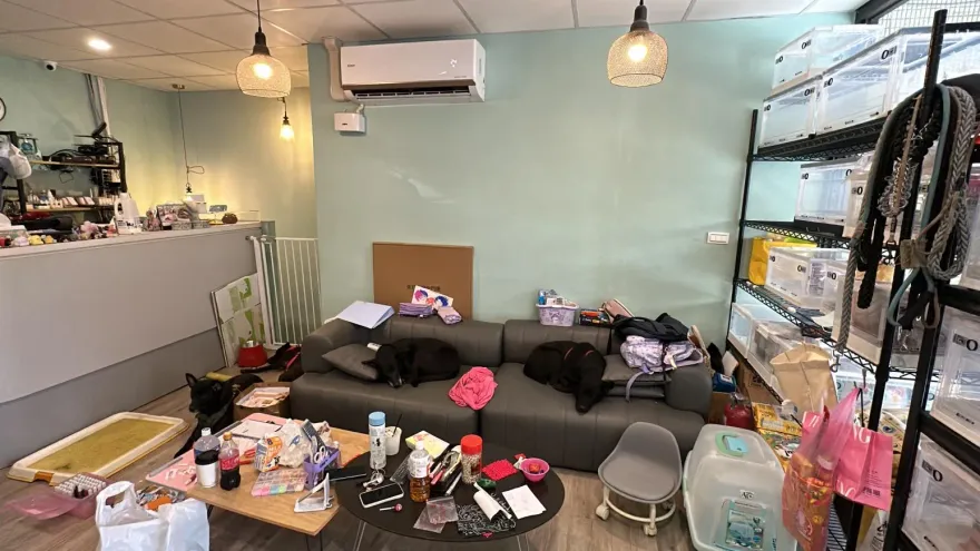 前一晚才目擊老闆遛狗！民代曾幫寵物店調解　無奈「除鄰居同意外沒解法」