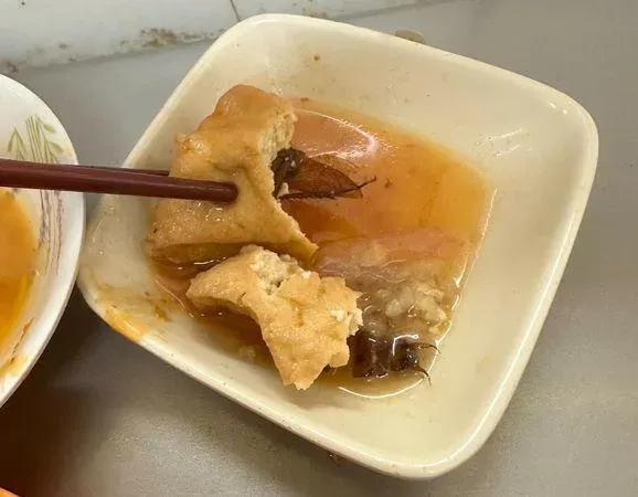 「小強噁料理」基隆再現！油豆腐藏肥美大蟑螂　衛生局查上游勒令停業改善