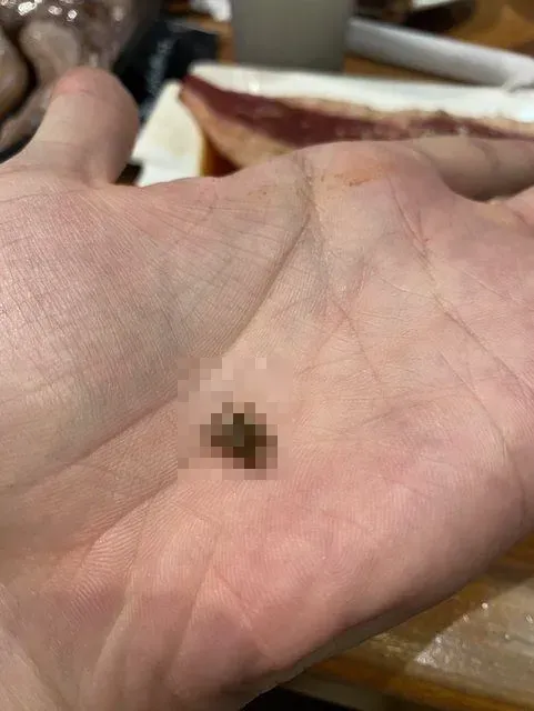 南港車站「牛角燒肉」飲料吸出蟑螂！業者發聲明：致上十二萬分歉意
