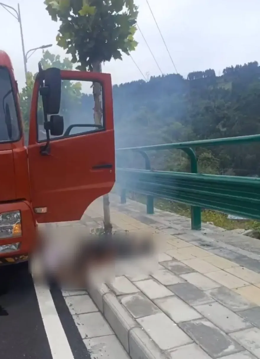 怵目驚心！湖北吊車誤觸高壓電　司機「下半身起火燒焦」慘死車門邊