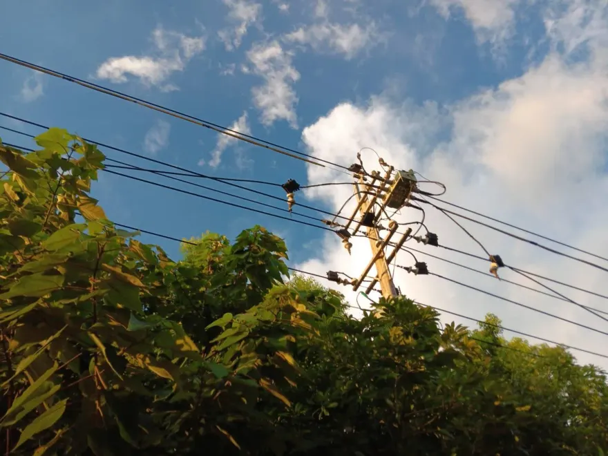 快訊/桃園連3天停電！今晚又停影響1111戶忍受熱夜晚　台電曝「非松鼠」原因