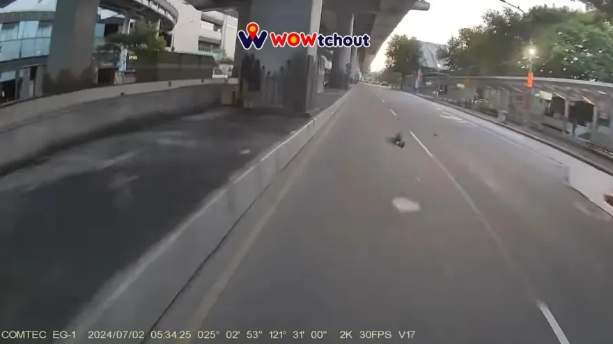 影/行經北車遭鳥擊！騎士險被擊落　網揭避開訣竅
