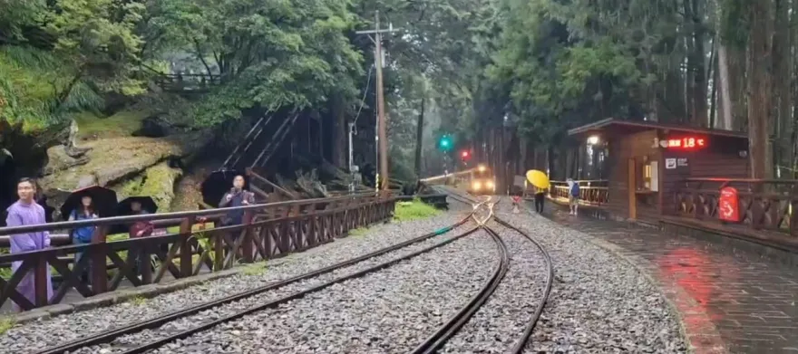 快訊/「3地區」國家警報響！嘉義林鐵睽違15年　旅客阿里山站冒雨迎首班列車