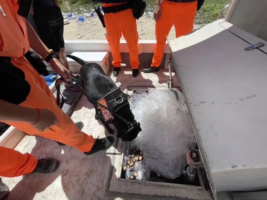 朱國榮棄保潛逃遭監院糾正　管碧玲建議加強電子監控