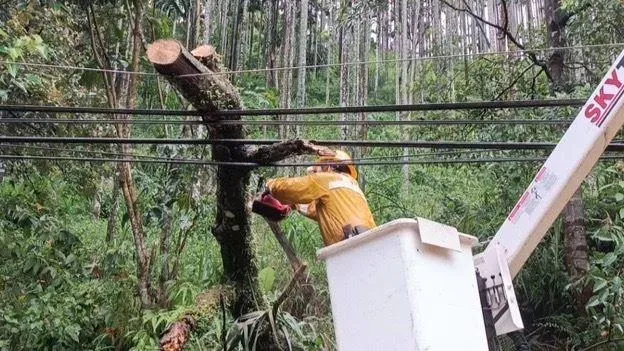 快訊/強颱凱米蹂躪！新北逾5千戶「鬧停電」　台電人員「冒風雨」搶修