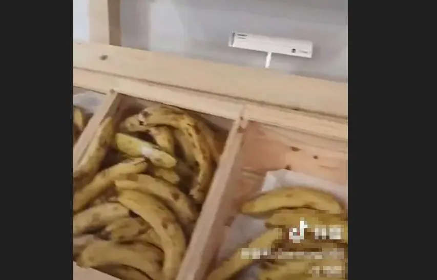 影/香蕉爛了、麵包硬如石！大陸隊樓下奧運餐廳慘況曝光　網笑：廚師帶對了