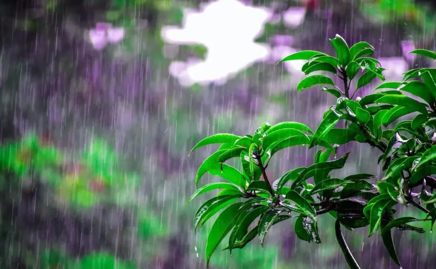 國家警報響了！大雷雨炸「2縣市」　暴雨持續時間曝