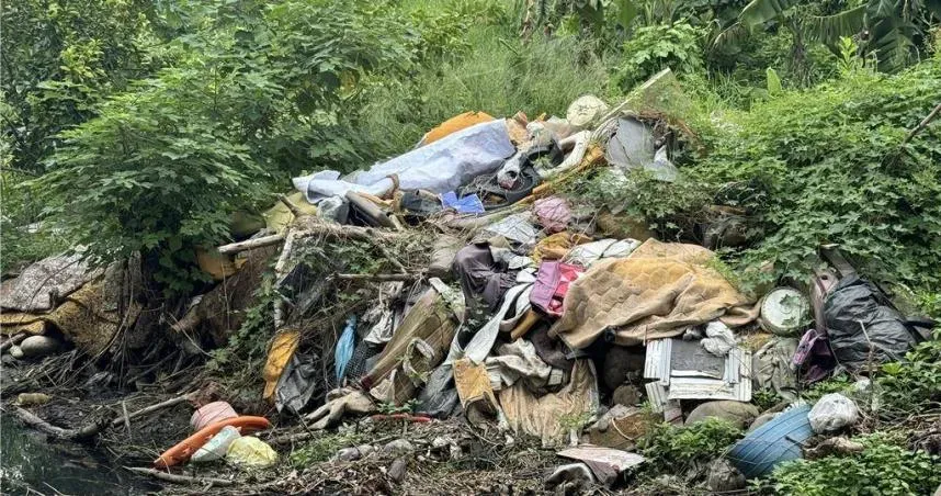 台中鳥竹圍公園變床墊山！家具行非法棄置30多張床　環保局強力掃蕩