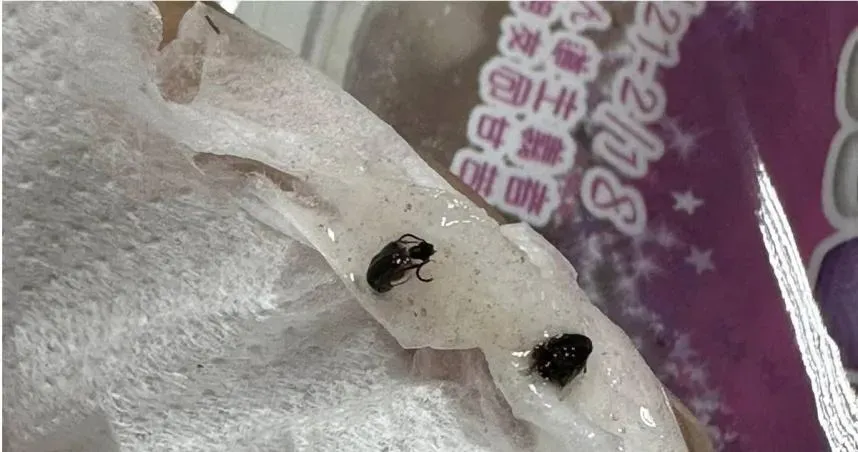 太噁心了！買甜湯送「蟲蟲全家餐」　店家還瞎辯可以吃