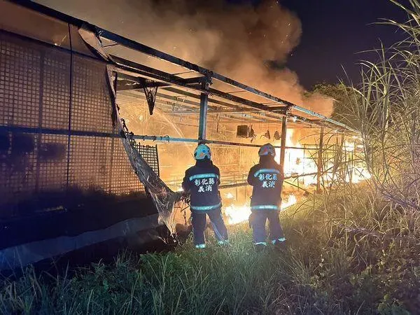 哭爆！溫室工寮大火「百萬植物」全沒了　損失慘重