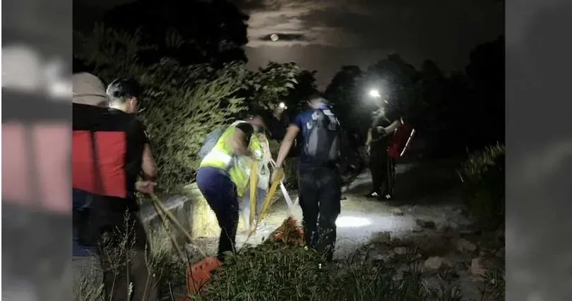 屏東健行團遭虎頭蜂圍攻！領隊超慘「遭群起狂叮」趴地不起　一度昏迷送醫