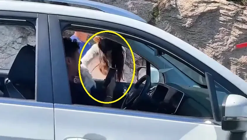 影/陸「Land Rover女」逆向追尾！惱羞怒賞對向男駕駛十巴掌嗆：打你怎麼了？