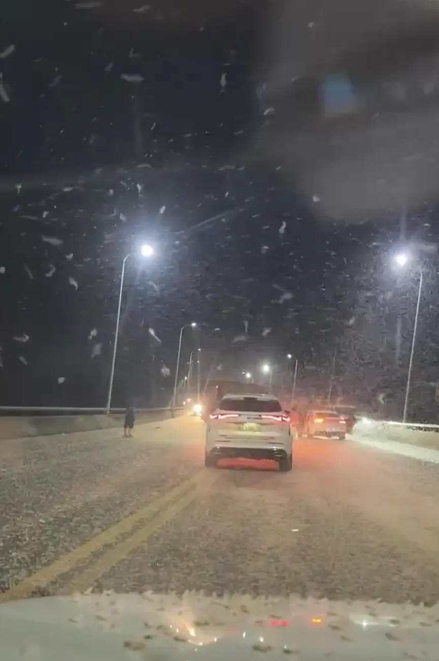 影/湖南夜空狂下「九月雪」　10億隻蜉蝣「死屍堆疊」車子慘打滑