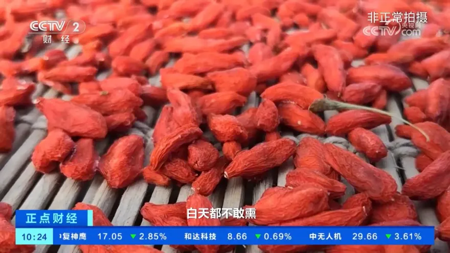 太艷有鬼！陸爆「恐怖毒枸杞」…竟用工業硫磺加工　醫：吃了腎衰竭
