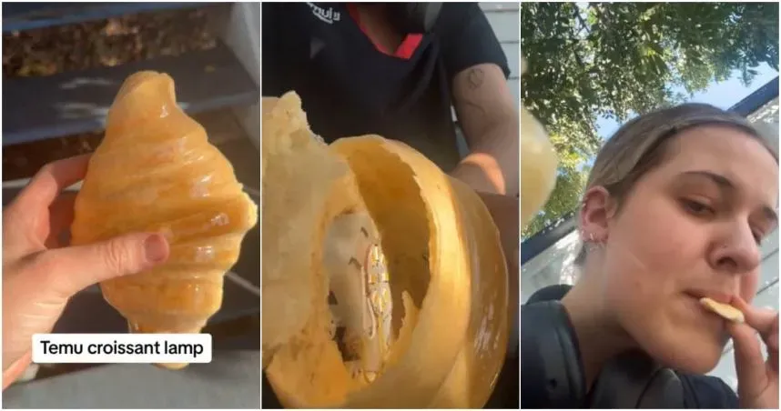 網購可頌造型燈...上面爬滿螞蟻！她越看越像真的　咬一口後網驚呼：可能要你的命
