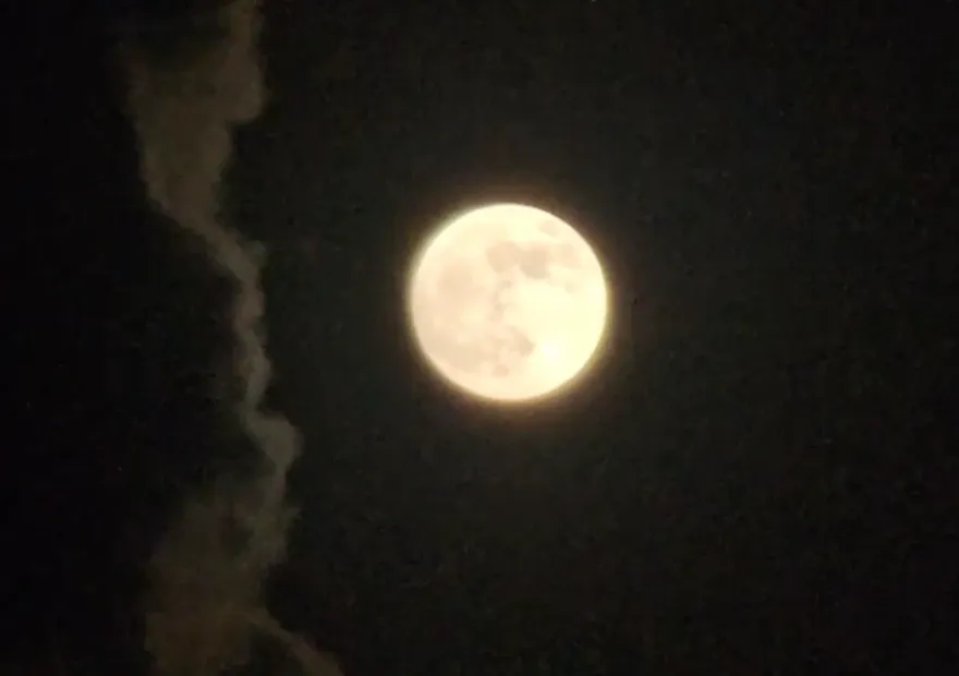 影/中秋夜晚直擊花蓮最美超大顆月亮！雲層中露臉散發柔和月光