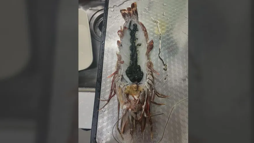 好蝦！好市多海虎蝦「大坨黑泥」炸出不敢吃　老饕反讚：是極品