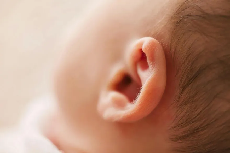 癌友不怕了！乳癌凍卵、血癌凍精補助有望114年上路　5千人適用
