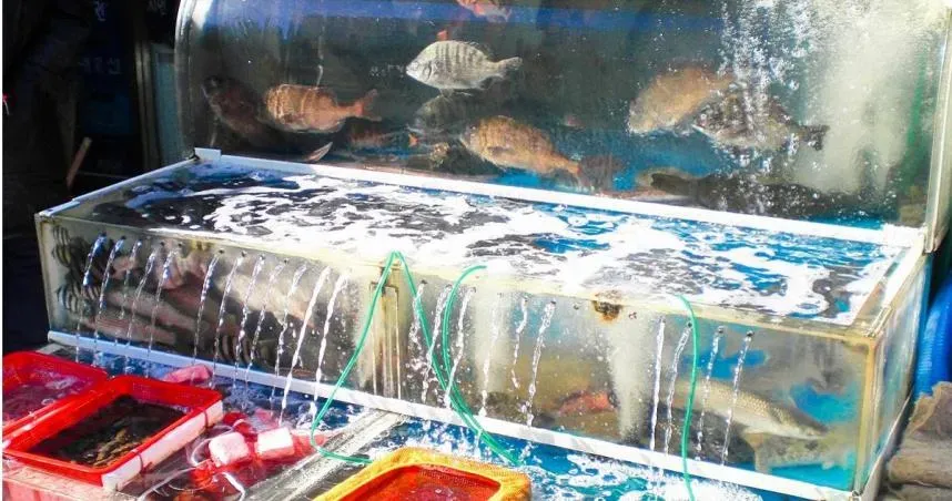 吃素卻在海產店慶生！7人吃完崩潰「一輩子修行都毀了」　老闆賠2千消災