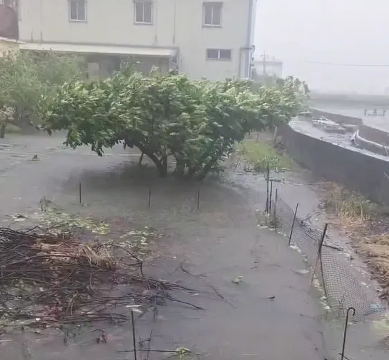影/山陀兒風雨肆虐！屏東枋寮馬路「水淹半棵樹」　民宅門前變「大池塘」