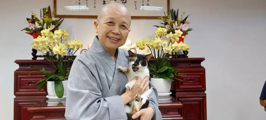 慈濟盜圖！釋昭慧批「畫家兒子蹭熱度」：我本就不慈悲