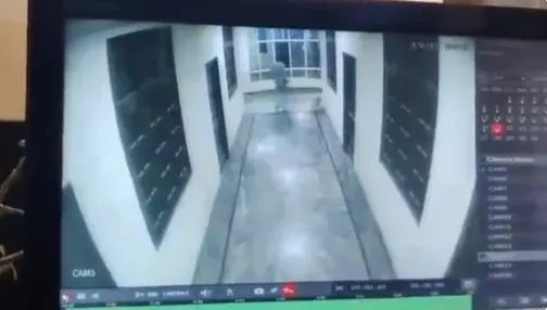 影/印男大生飯店走廊頑皮追狗　失去重心竟從3樓摔落身亡