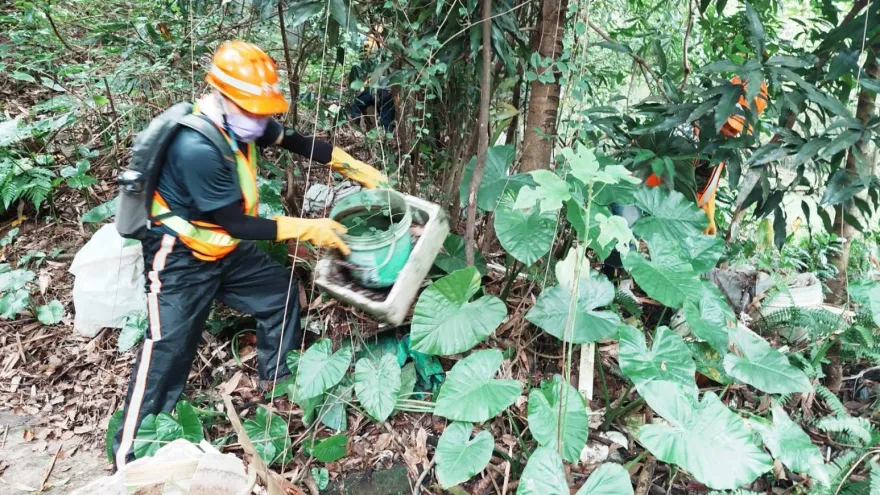颱風後別忘清積水！蚊子活動力未下降　羅一鈞：登革熱風險大增
