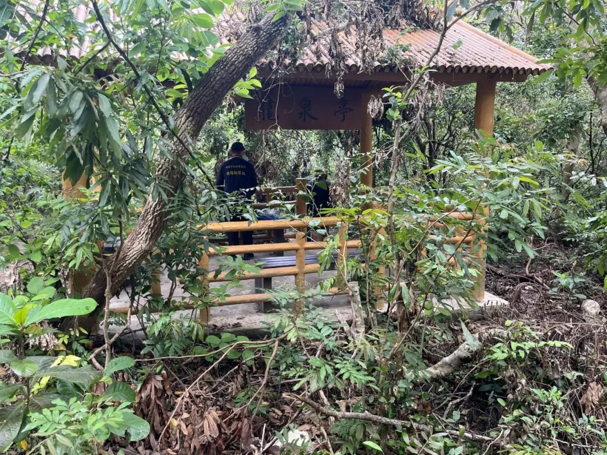 嚇！高雄柴山男坐地「無反應」　登山客近看「已斷氣」急報警