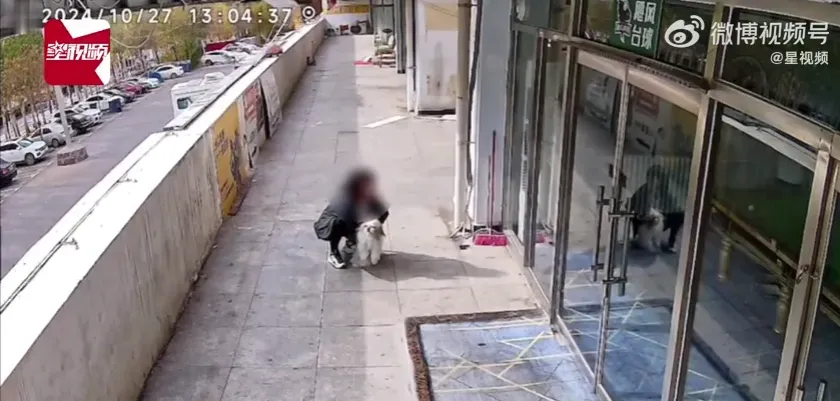 影/愛犬店門口隨意排泄遭員工「持棍抽打」　陸飼主發文討拍…網揪1點不挺