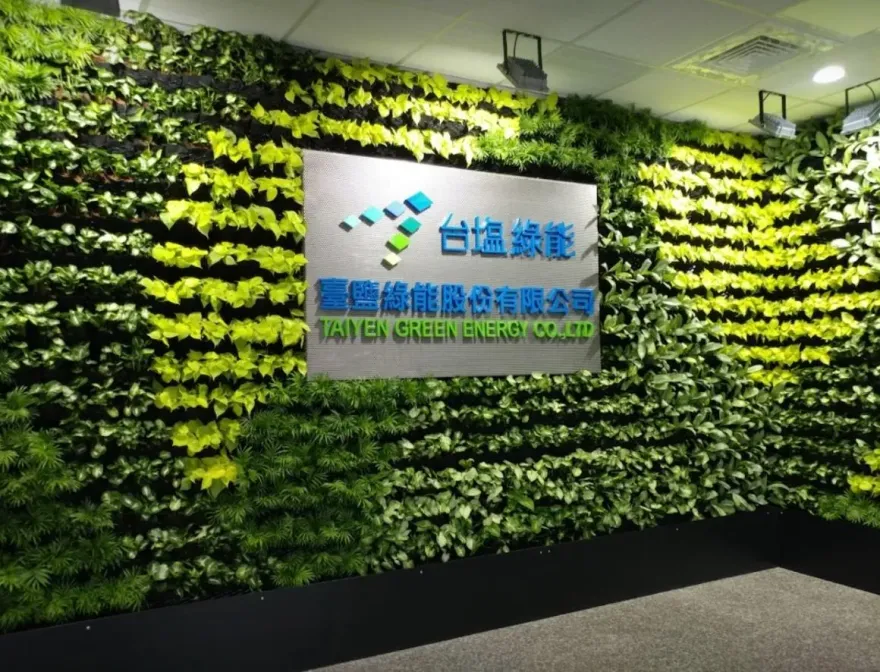獨家／台鹽收購台鹽綠能曝內幕　台綠小股東痛訴：被剝兩次皮