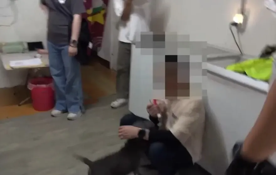 影/台中毒販被抓不忘愛犬　求警「把狗放冷氣房」再搜查