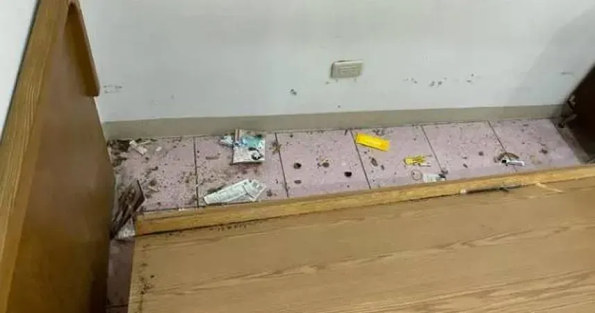 租屋床底下一堆雞骨頭？　內行人一看就知：是老鼠