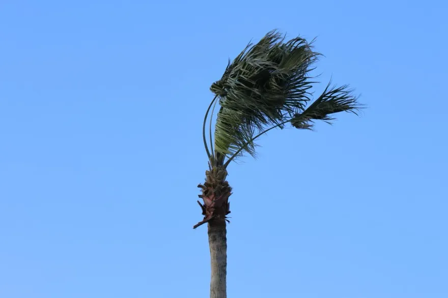 豪雨加強風！鋒面過境東北風增強　12縣市慎防8級強風