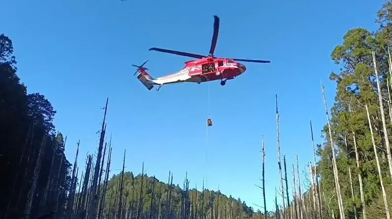 阿溪縱走扭傷腳踝！男夜宿水漾森林待救援　今吊掛下山
