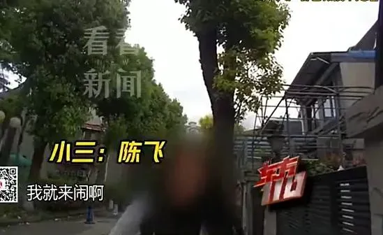 報應？渣男外遇生子逼正宮退位　陸小三「扶正」下場曝