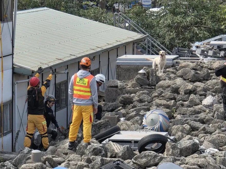 0403花蓮大地震立功！2搜救犬獲高級認證　1犬小失誤重考