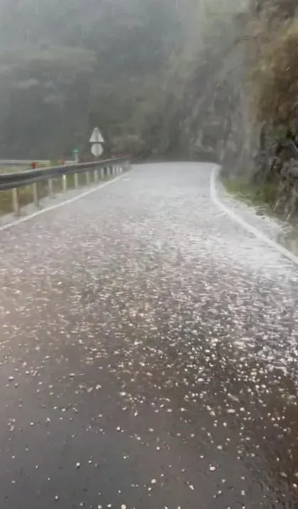 影/松雪樓、梨山降下冰雹！中橫便道車隊躲隧道避險